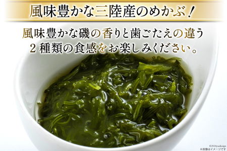 めかぶ 海藻 ちょいたしめかぶ 2種 セット 約 1kg