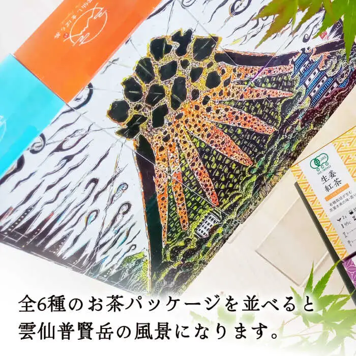 雲仙しまばら茶 ティーバッグ6種セット / 南島原市 / コスモス会正健 [SBQ001]