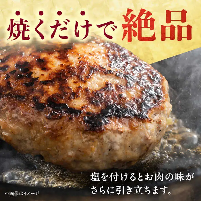 【12回定期便】佐が家 佐賀牛100% ハンバーグ 4個 /ナチュラルフーズ [UBH022] 佐賀牛 ハンバーグ