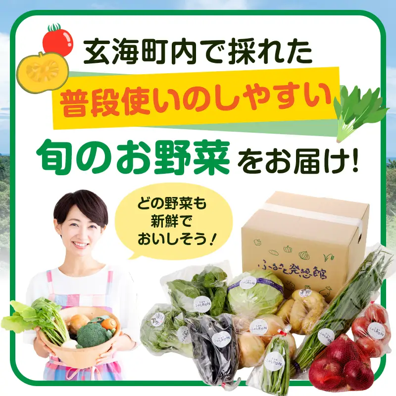 いろどり野菜セット ／ 旬 野菜 【A049】