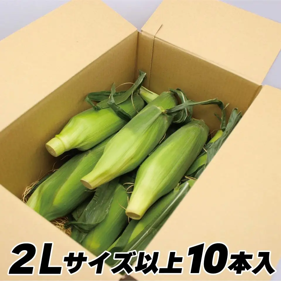 JAむなかた直送「厳選スイートコーン」2Lサイズ以上 10本入り【JAほたるの里】_HA0272