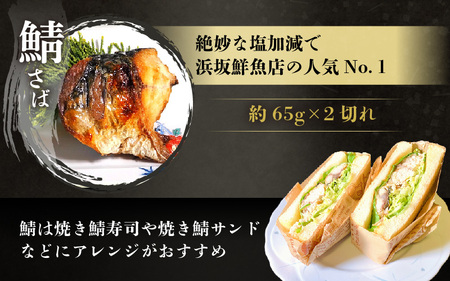 焼き魚セット 3種6切れ セット 食べ比べ 鯖 鮭 銀鱈 レンチン 炭火焼魚 惣菜 簡単調理 [A-15905]