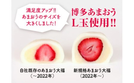 【2023年1月上旬より順次発送】【ふるさと納税限定】博多あまおう ごろっと苺大福 計16個 イチゴ 和菓子 大福 贈答