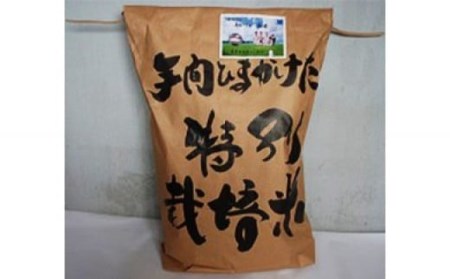 【令和7年度産】ハツシモ 30kg 玄米｜玄米