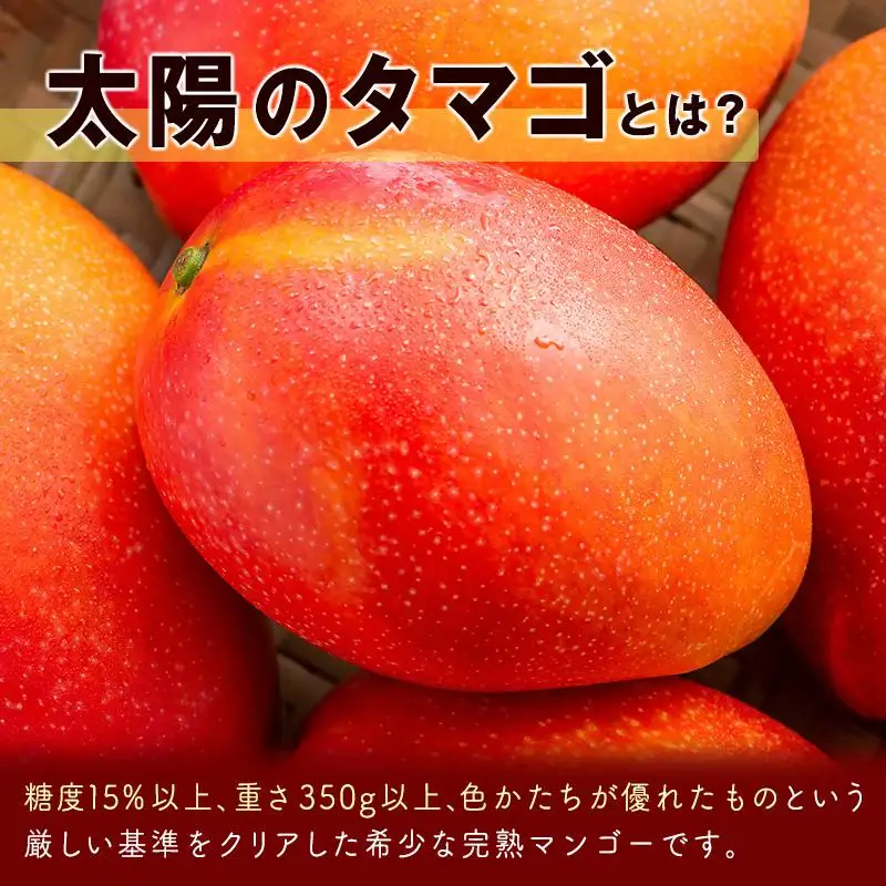 【先行予約】2027年発送　最高級ブランド『太陽のタマゴ』3Lサイズ2個or2Lサイズ3個【糖度15度以上】宮崎県西都市産完熟マンゴー＜18-10a＞