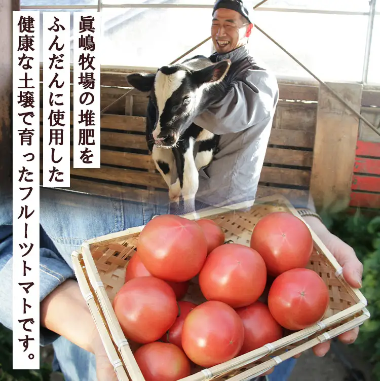 【先行受付】野菜ソムリエが育てた フルーツトマト籠入り 1kg【野菜 やさい 野菜 やさい 野菜 やさい 野菜】 mj-0035