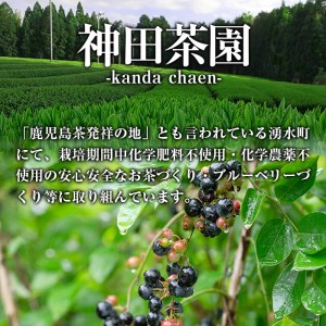 《数量限定》神田茶園の湧水米粉チーズケーキ(ブルーベリー・6号) チーズ クリームチーズ 米粉 スイーツ デザート お菓子 おかし ブルーベリー 果物 フルーツ グルテンフリー 健康志向 ギフト 贈答 贈り物 プレゼント 冷凍【神田茶園】_y397-02