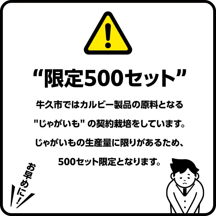 【最短3営業日！スピード発送】 カルビー 堅あげポテト うすしお味 24袋 ( 2ケース ) 65g ポテチ お菓子 おかし 大量 スナック おつまみ ジャガイモ じゃがいも まとめ買い 数量限定