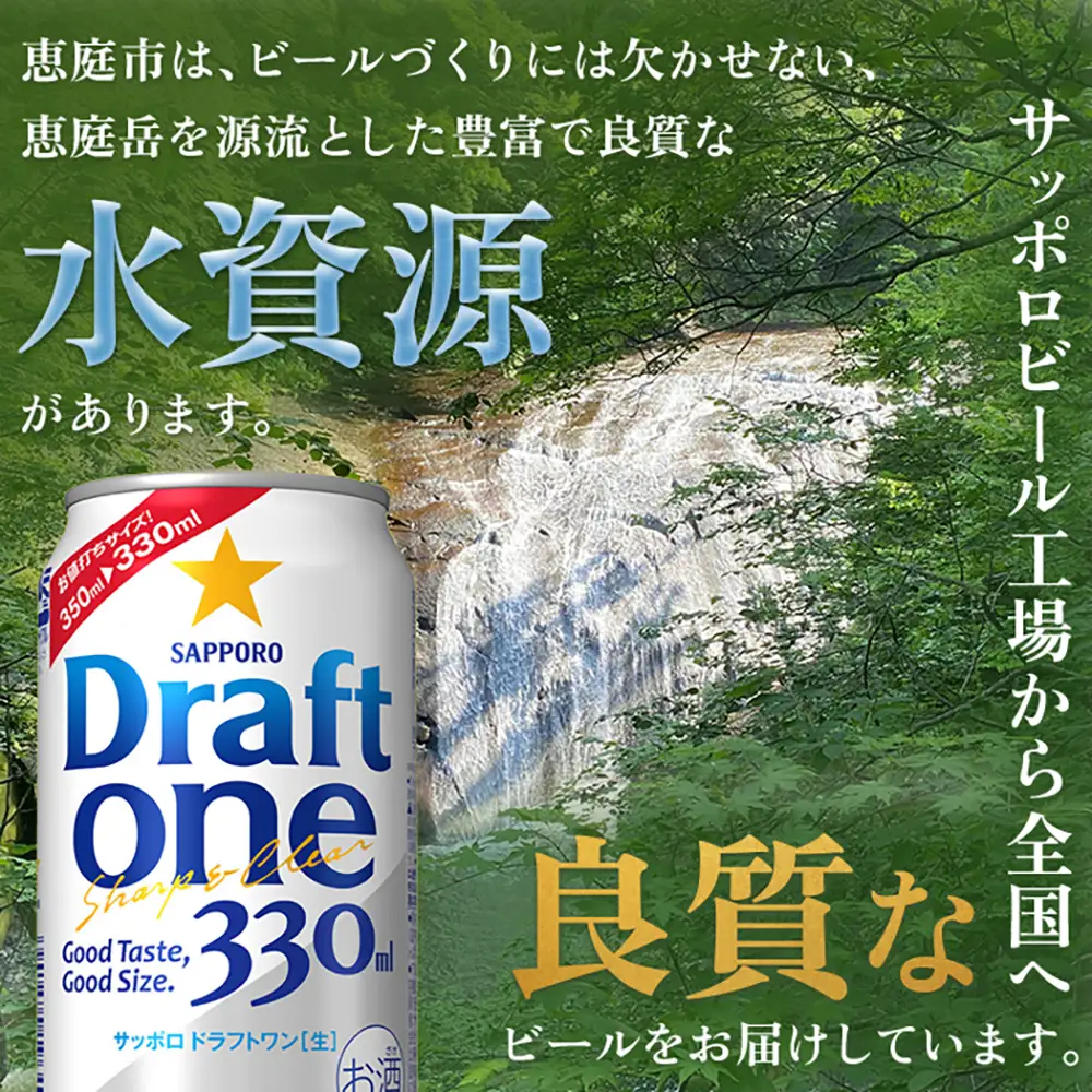 『定期便：全5回』 ドラフトワン330ml×24本【300090261905】