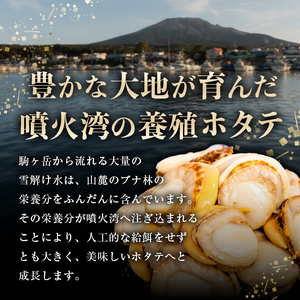 【訳あり】蒸しほたて 800g 北海道噴火湾産 サイズ不選別 ほたて mr1-0927