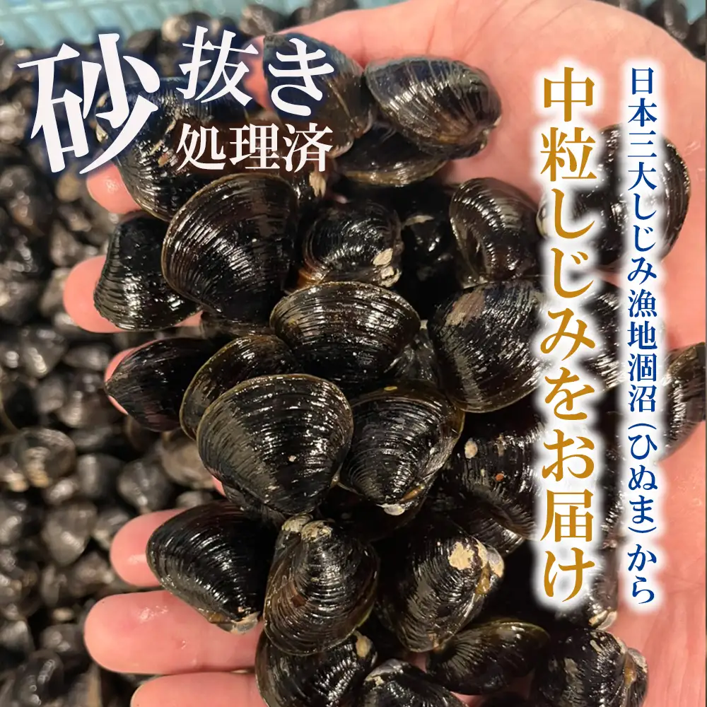 訳あり 涸沼産 中粒 冷凍 シジミ 2kg(400g×5袋) _CB004