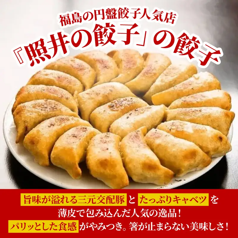 No.2473 ふくしま餃子の会　餃子の照井　焼き餃子（６０個）