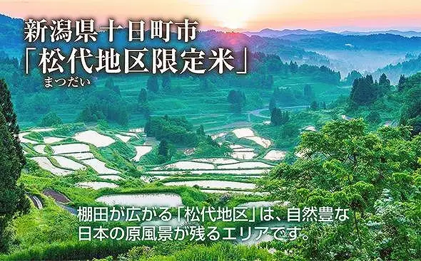 棚田米 魚沼産 コシヒカリ 10kg 新潟県 十日町市 松代地区 限定 棚田 こしひかり （お米屋秘伝！美味しいご飯の炊き方ガイド付き） 精米 ブランド米 銘柄米 