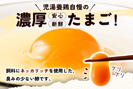 ＜児湯養鶏自慢の卵 ＞ネッカリッチ赤たまご「児湯一番」20個 1箱【A14】