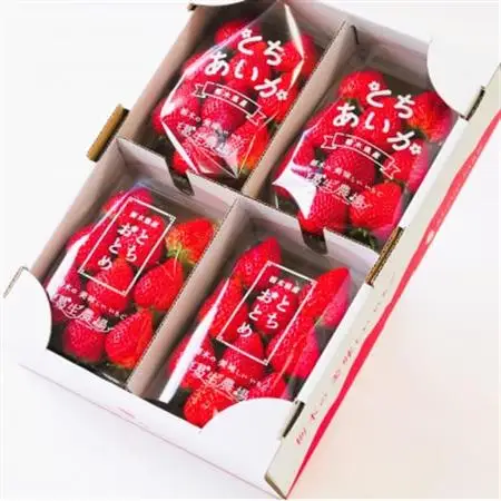 新鮮! 『とちおとめ』・『とちあいか』 (260g×4パック)　食べ比べセット_果物・フルーツ いちご  イチゴ 苺_【配送不可地域：離島・沖縄県】【1366985】