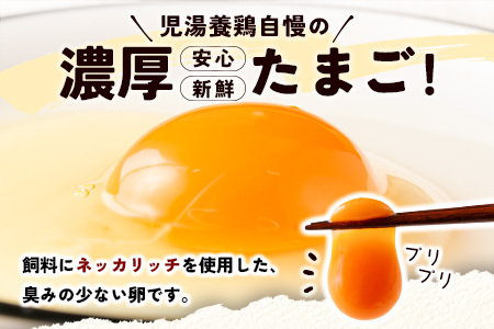 ＜児湯養鶏自慢の卵 ＞ネッカリッチ赤たまご「児湯一番」計40個（20個入×2箱）【B19】