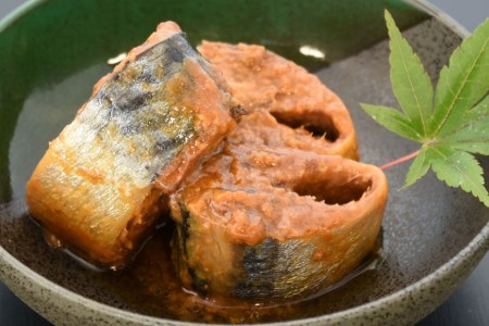 ＜定期便＞ さば味噌煮 総計72缶(175g×24缶)×3回 隔月 