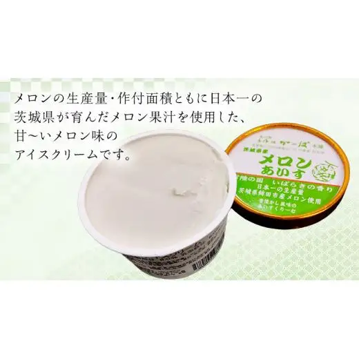 茨城県産メロンあいす 16個