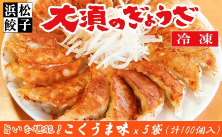浜松餃子 大須のぎょうざ［ 浜松ぎょうざ とまらぬコクと旨いを堪能！＜ こくうま味 ＞］× 5袋（1袋20個入、合計100個） 惣菜 冷凍 冷凍ギョーザ 夕飯 つまみ 中華 ヘルシー ジューシー 手作り餃子 あっさり 