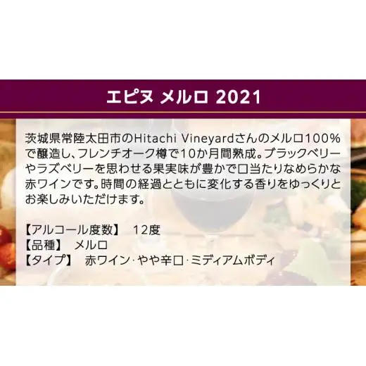 【 数量限定 】エピヌ メルロ 2021 茨城県産 牛久醸造場 日本ワイン 赤ワイン 750ml × 1本 やや辛口 ミディアムボディ お酒 贈り物 ラズベリー