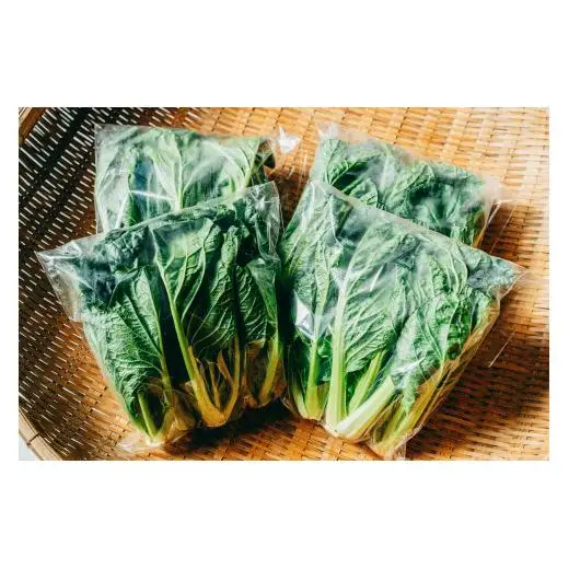 【自然栽培】大和の伝統野菜 下北春まな1kg 