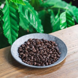 播磨珈琲焙煎所おすすめコーヒー豆セット《 珈琲 コーヒー 珈琲豆 オリジナルブレンド ミャンマー セット 詰め合わせ 》【2501G11403】