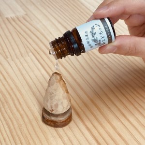浜中町生まれトドマツ精油『とどろっぷ』10ml　1本　トドマツ 精油 エッセンシャルオイル 1本 100％ 天然 北海道 浜中町 生まれ とどろっぷ アロマ LandEdge 極東の森 凛とした香り 皆さまへ トトロップ アロマディフューザー アロマスプレー 加湿器 送料無料_H0025-101