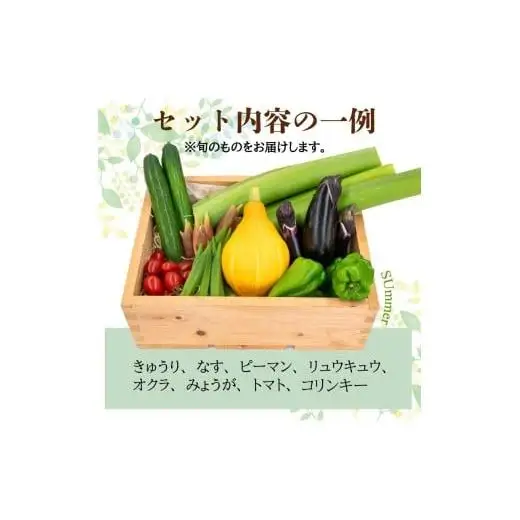 【 野菜 】 野菜セット 6～8品