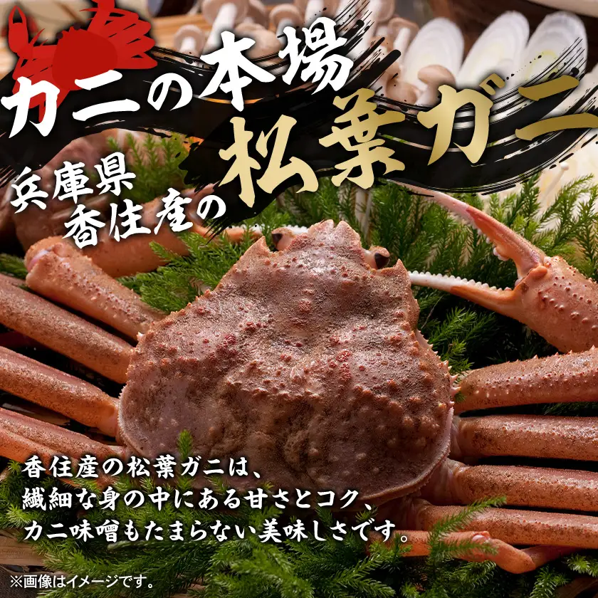 【先行予約】兵庫県香住産　特選釜茹で松葉ガニ【配送不可地域：離島】【1149881】