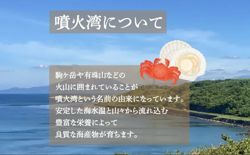 【令和8年先行受付】【訳あり】 北海道 豊浦 噴火湾 オオズワイガニ 約1.5～2kg（4～6尾） 数量限定