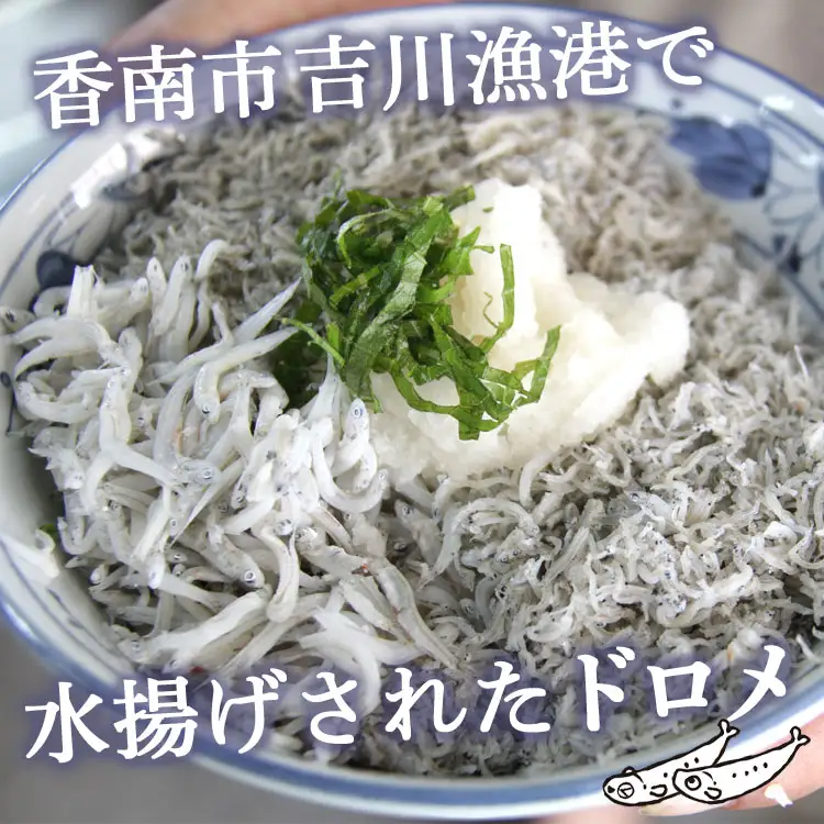 土佐名産 釜揚げしらす 合計2kg（約250g×8）- シラス じゃこ ちりめん ご飯のお供 食事 丼 おつまみ 酒の肴 魚 ギフト 贈答 贈り物 高知県 香南市 冷凍 tk-0014
