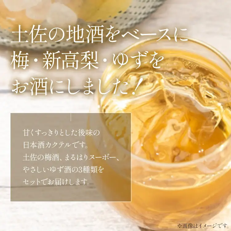 日本酒 果実の香り酒 500ml×3種セット 日本酒カクテル gs-0162