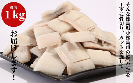 ハモ 切り身 定期便 偶数月 3回 1kg×3ヵ月 3kg 小松島産 鱧 ハモ