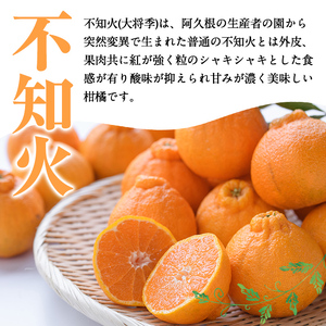 ＜先行予約受付中！2027年2月以降順次発送予定＞＜訳あり・不揃いの為＞数量限定！無加温ハウス不知火(5kg) 国産 鹿児島県 阿久根市 果実果物 フルーツ 柑橘 みかん ミカン 期間限定 数量限定【桐野柑橘株式会社】akn070-12