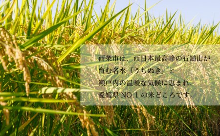 高橋さんの無洗米「にこまる」真空パックセット 令和7年産 2合(300g)×8袋　計2.4㎏