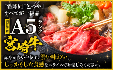 宮崎牛 A5ランク ウデスライス400g×2 牛肉 ウデ スライス