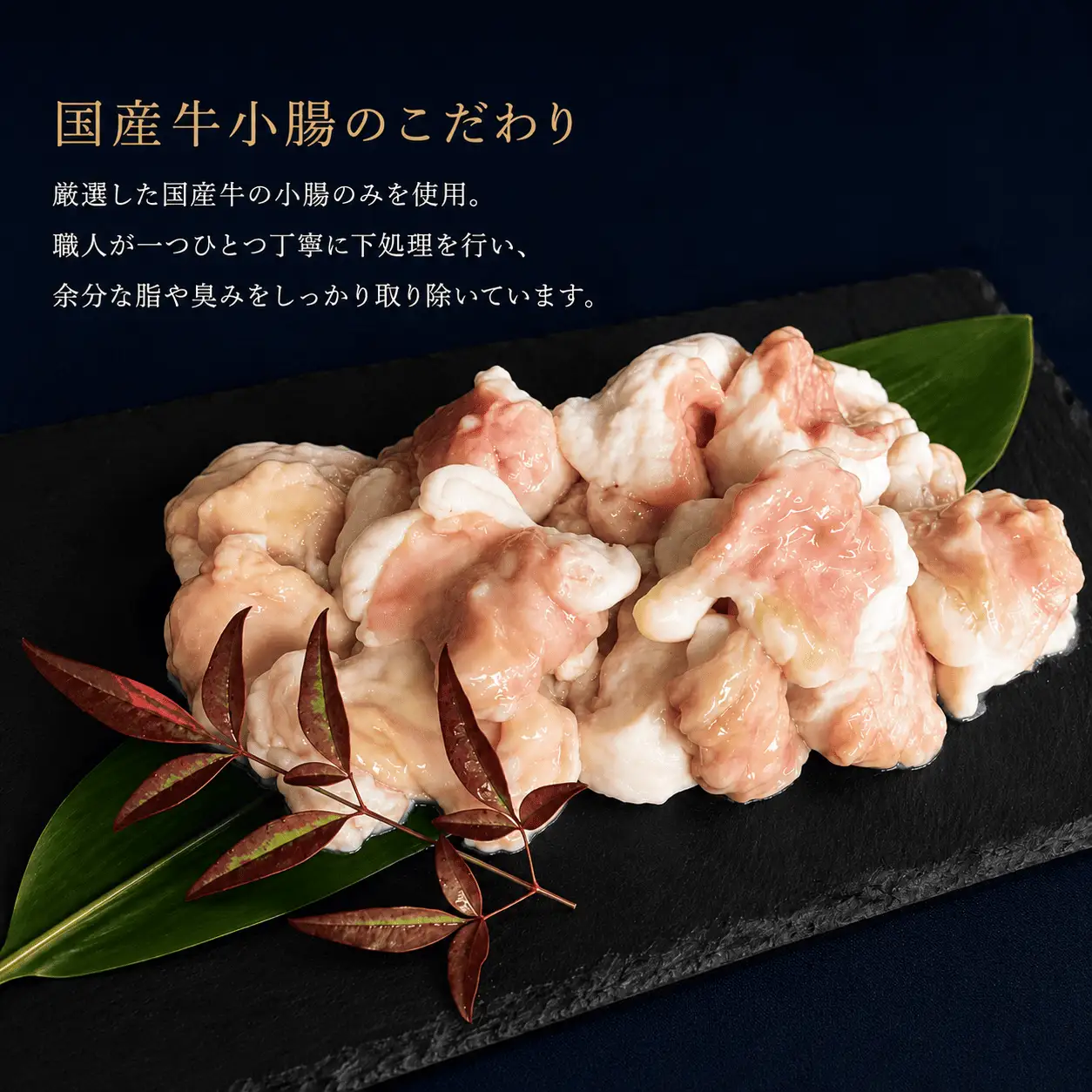 国産!焼肉屋の讃岐ホルモン鍋 牛肉 鍋セット 