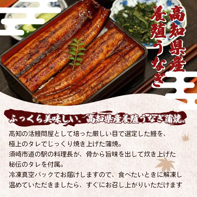 鰻 蒲焼き 2尾(合計約440g) 鰻 ss-0043