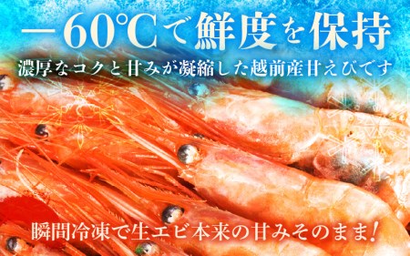 瞬間冷凍！越前産 甘エビ 500g（250g × 2）解凍しやすい仕切り付き♪【えび エビ 海老 冷凍 福井県 甘えび 甘エビ あまえび】 [e22-a004]