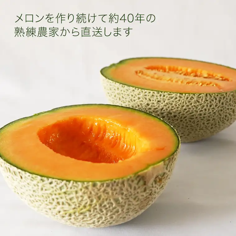 《 2027年 収穫分 》 I.K メロン ( 赤肉 ) 2玉 糖度15度以上 先行予約 茨城県 桜川市 藤田吉光 国産 農家直送 高級 赤肉 完熟 アイケーメロン ブランドメロン デザート フルーツ 果物 くだもの 旬 甘い ご自宅用 ご家庭用 ギフト 贈答 プレゼント [CT001sa]