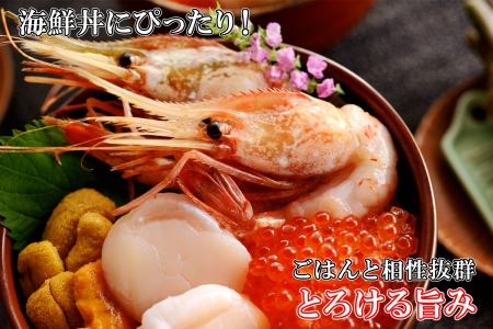 ボタンエビ 500g 海鮮 ぼたんえび ボタン海老 ぼたん海老 エビ 刺身 おつまみ 酒の肴 魚介 送料無料 16000円 北海道 弟子屈町 1311