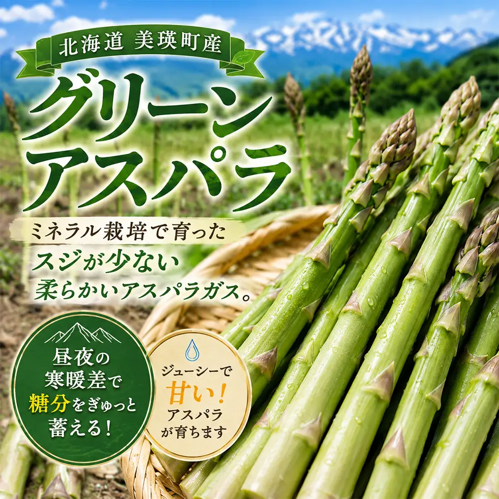野菜 定期便【令和9年産 先行予約】4回便 アスパラ とうもろこし じゃがいも 玉ねぎ 北海道美瑛町 おおとり