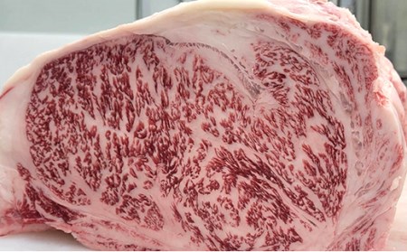 【A5ランク】上州和牛サーロイン500g ブランド和牛 高級 記念日 サシ F21K-285