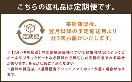 【定期便5回コース】時津の果物定期便 みかんとぶどうの町から贈る 特産品の定期便 シャインマスカット 巨峰 みかん 不知火 びわ 【2025年12月上旬より順次発送予定】