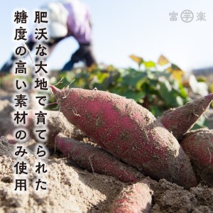 【先行予約】 12月以降発送 さつまいも 熟成 紅はるか 芋 10kg _CE005
