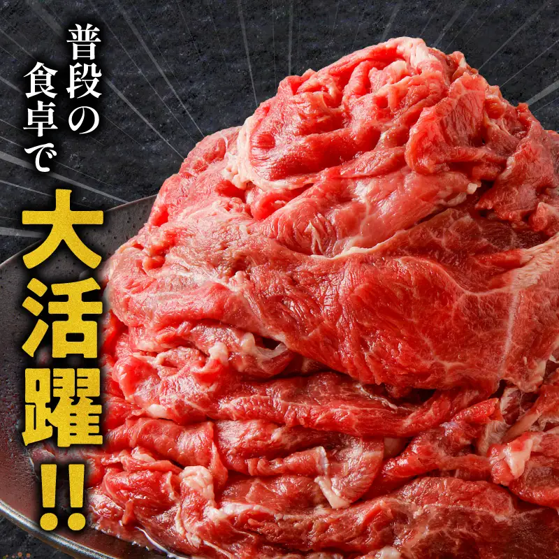 牛肉 切り落とし 牛肉[宮崎牛 1kg]