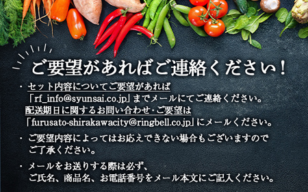 《有機JAS認証》オーガニック 季節のお野菜セット（小）定期便 12ヶ月連続 F21R-867