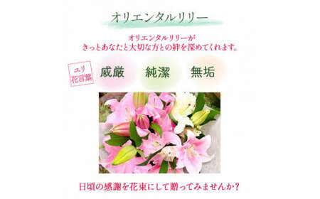 日頃の感謝を「花束」で、オリエンタルリリー【優品3本】／Osy-B13  誕生日 植物 フラワー プレゼント 花束 ゆり リリー お花