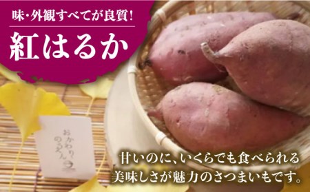 さつまいも 紅はるか 約5kg /おかわりのうえん [UDD001] サツマイモ