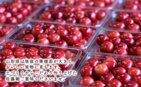 【2027年先行予約】山形県産 朝摘みさくらんぼ特選佐藤錦500g ギフト箱入り FSY-0347